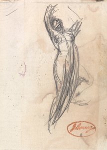 Vrouwelijke figuur